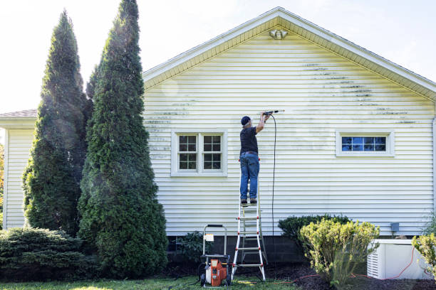 Best Exterior Home Cleaning  in Mount Hope, NJ